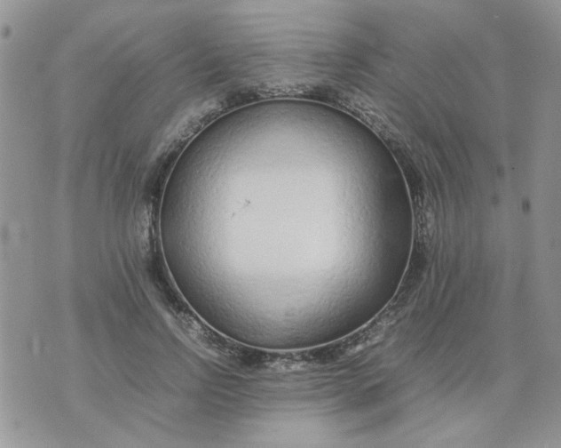 X0000074330742200609152056