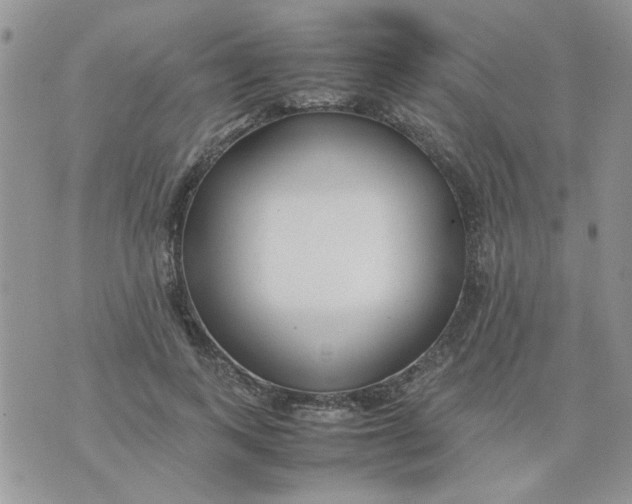 X0000074330743200609152056