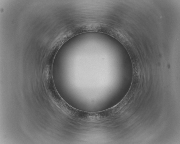 X0000074330744200609152056