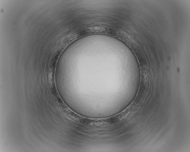 X0000074330745200609152056