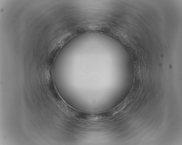 X0000074330746200609152056