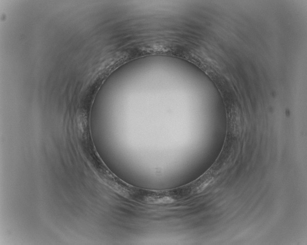 X0000074330747200609152056