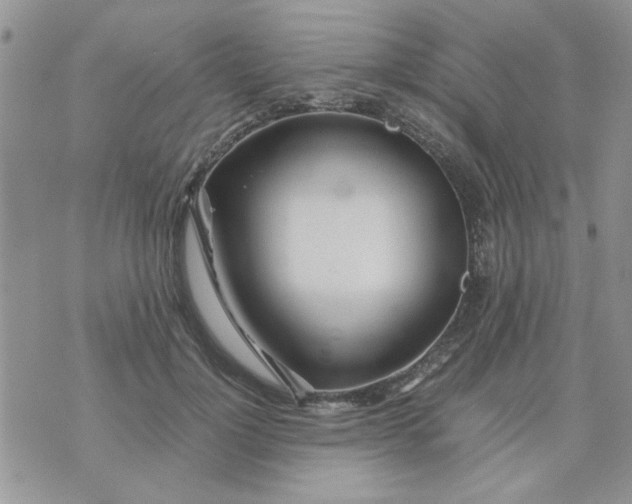 X0000074330748200609152056