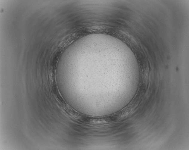 X0000074330749200609152056