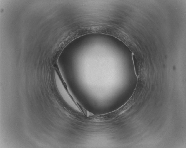 X0000074330750200609152056