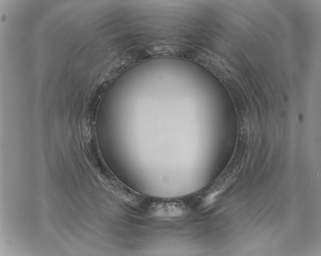 X0000074330751200609152056