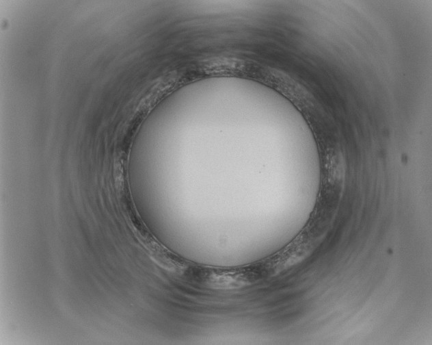 X0000074330753200609152056