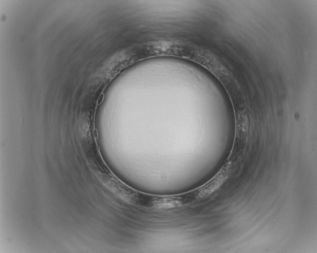 X0000074330754200609152056