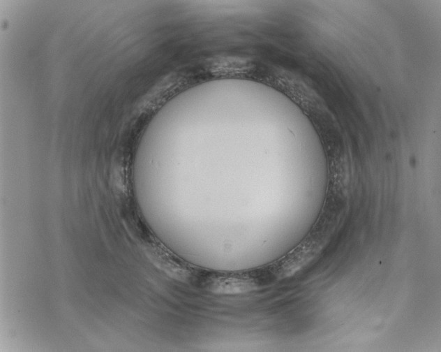 X0000074330755200609152056