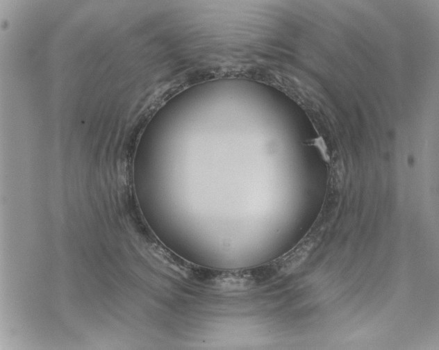 X0000074330756200609152056