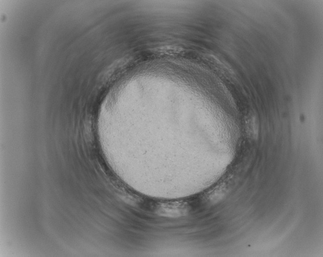 X0000074330757200609152056