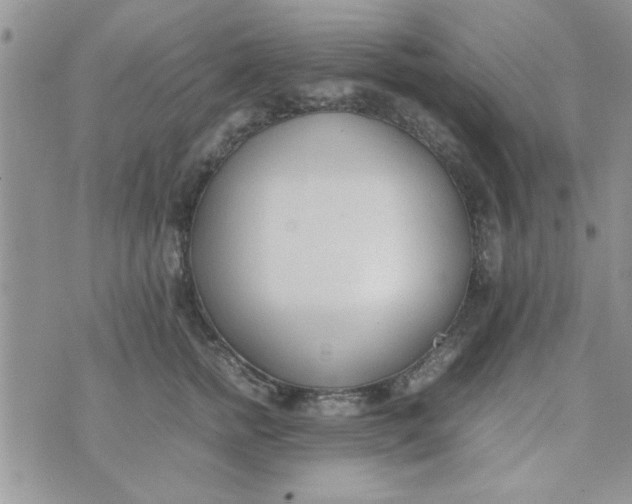 X0000074330758200609152057