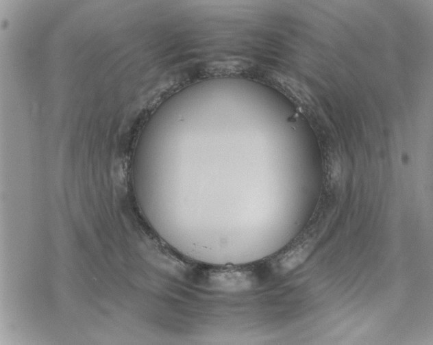 X0000074330759200609152057