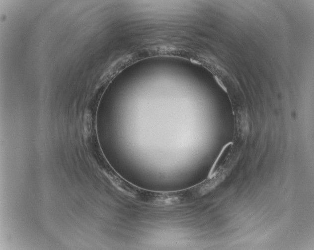 X0000074330760200609152057