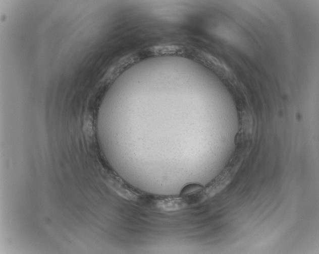 X0000074330761200609152057