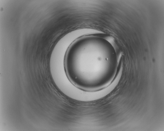 X0000074330762200609152057