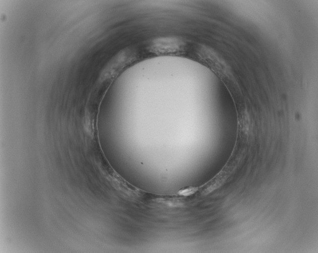 X0000074330763200609152057