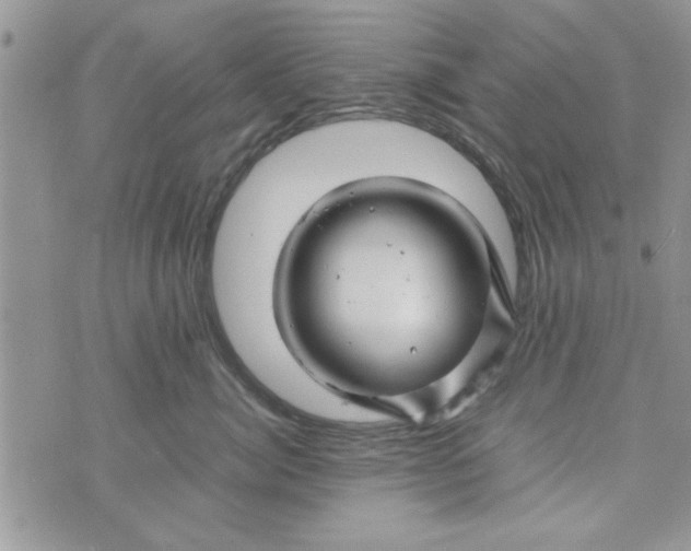 X0000074330764200609152057