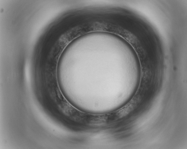 X0000074330765200609152057