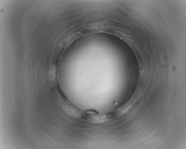 X0000074330767200609152057