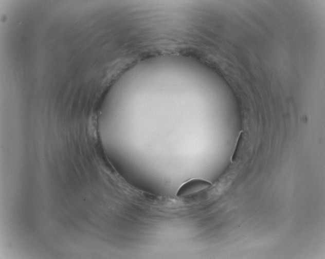 X0000074330768200609152057