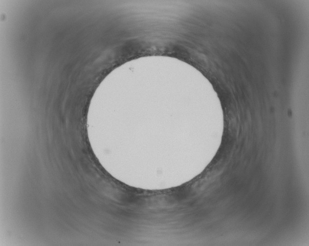 X0000074330769200609152056