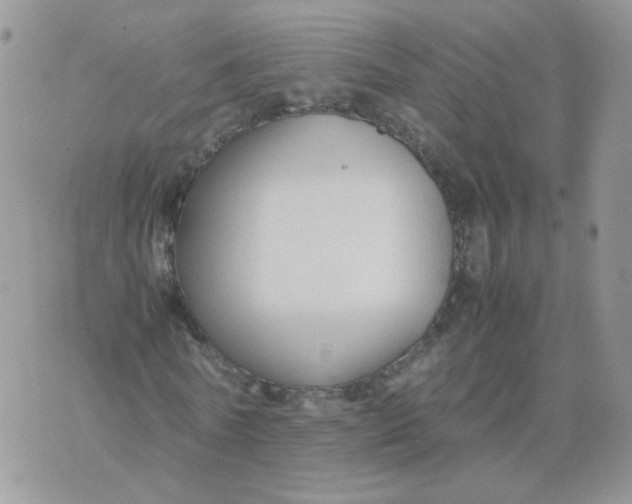 X0000074330770200609152056