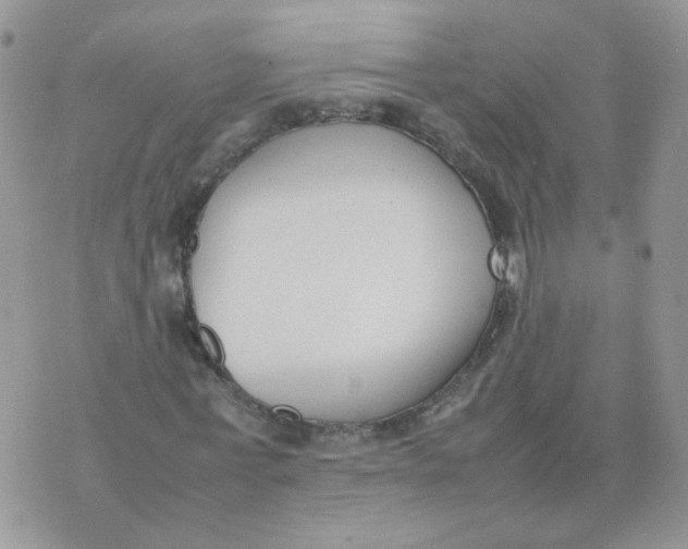 X0000074330771200609152056