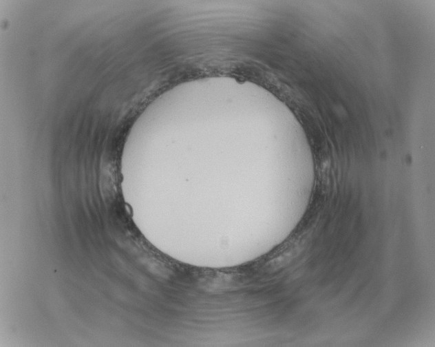 X0000074330772200609152056