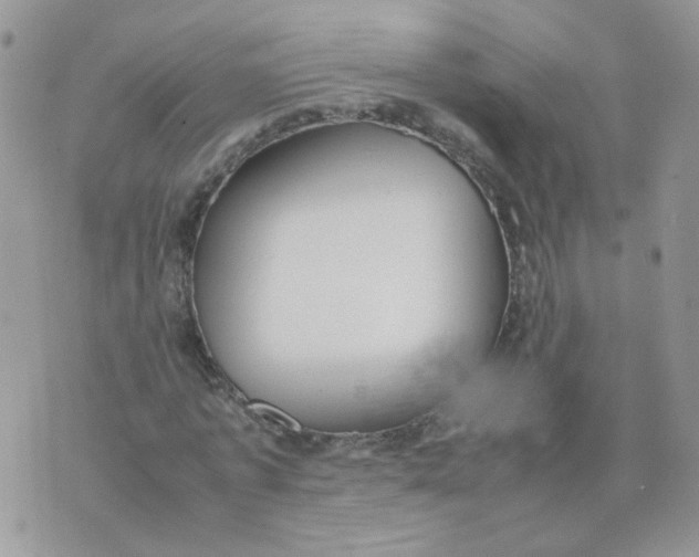 X0000074330773200609152056