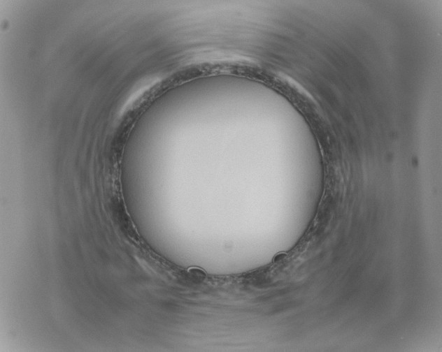 X0000074330775200609152056