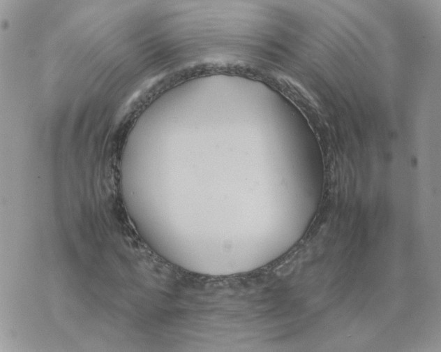 X0000074330776200609152056