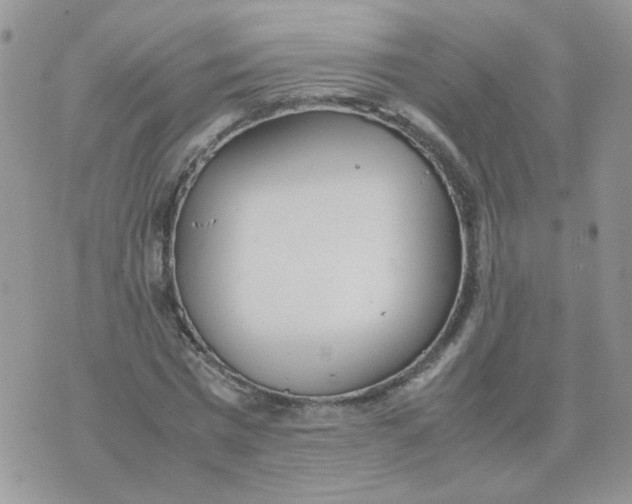 X0000074330777200609152056