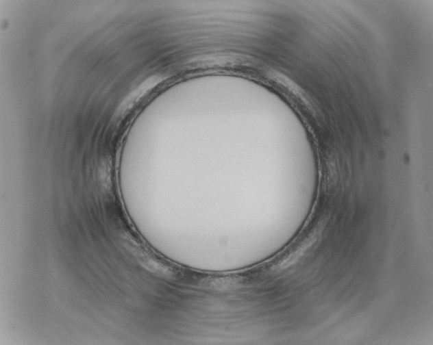 X0000074330778200609152056