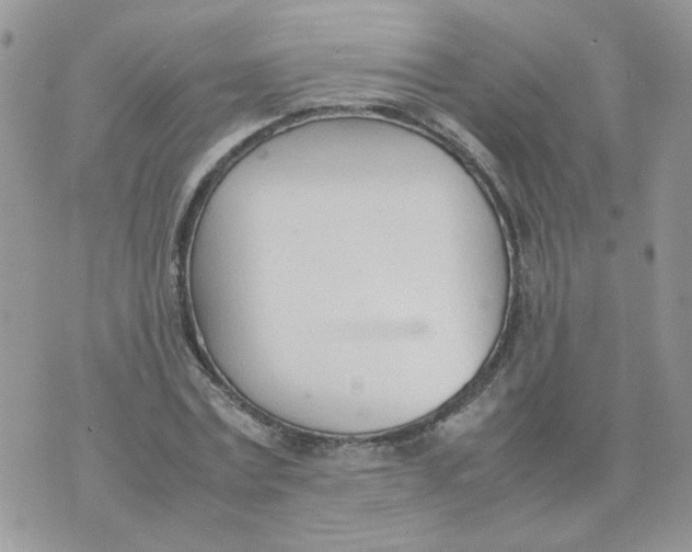 X0000074330779200609152056