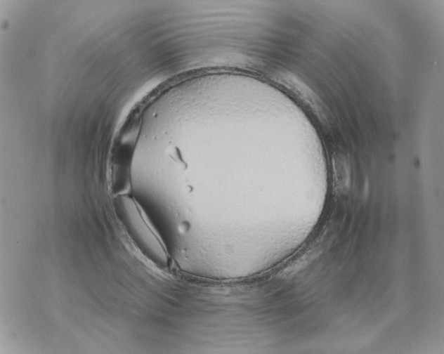 X0000074330780200609152056