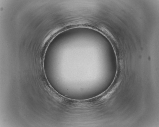 X0000074330781200609152056