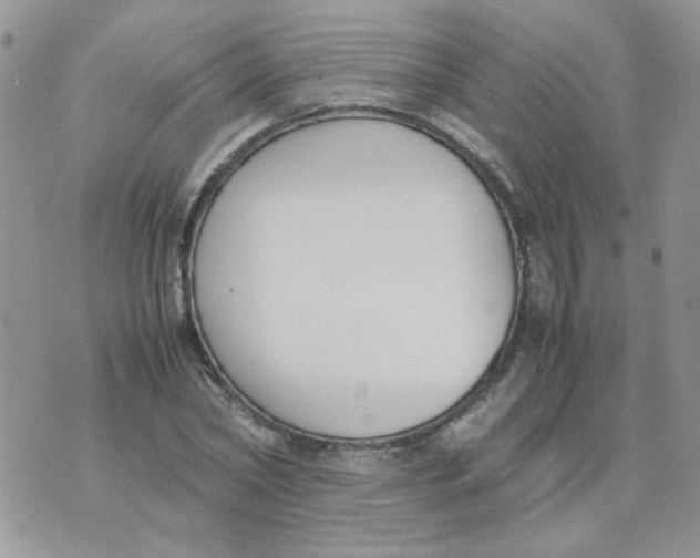 X0000074330782200609152056