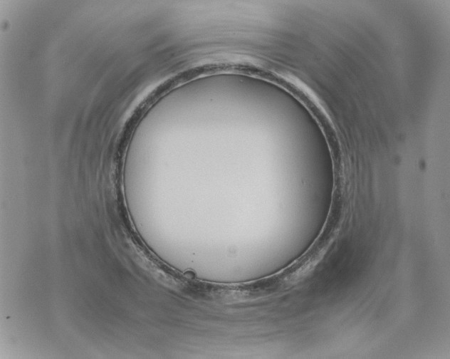 X0000074330783200609152056