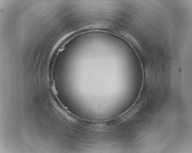 X0000074330784200609152056