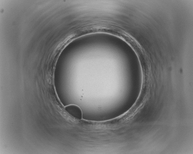 X0000074330785200609152056