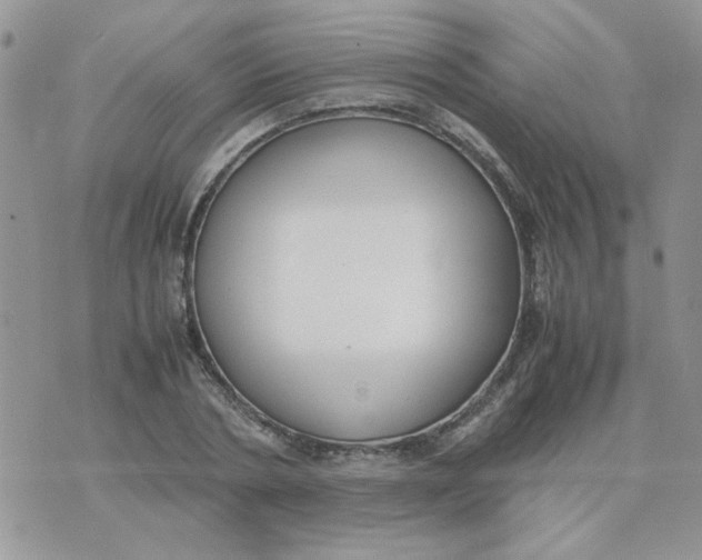 X0000074330786200609152056