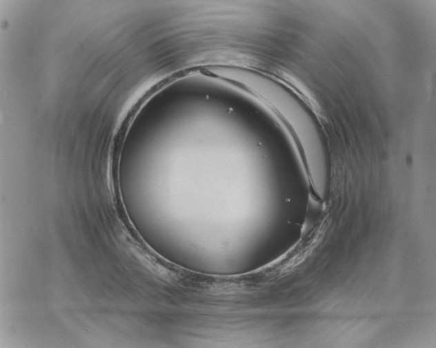 X0000074330788200609152056