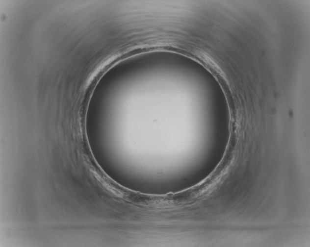 X0000074330789200609152056