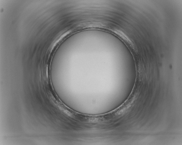 X0000074330790200609152056