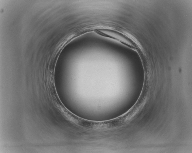 X0000074330793200609152056