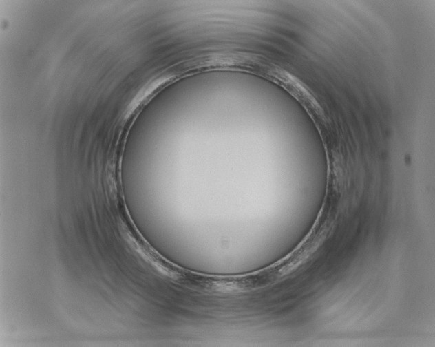 X0000074330794200609152055