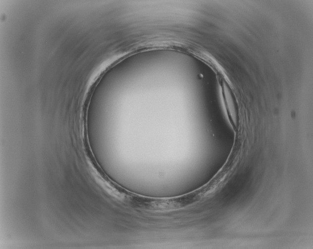 X0000074330795200609152055