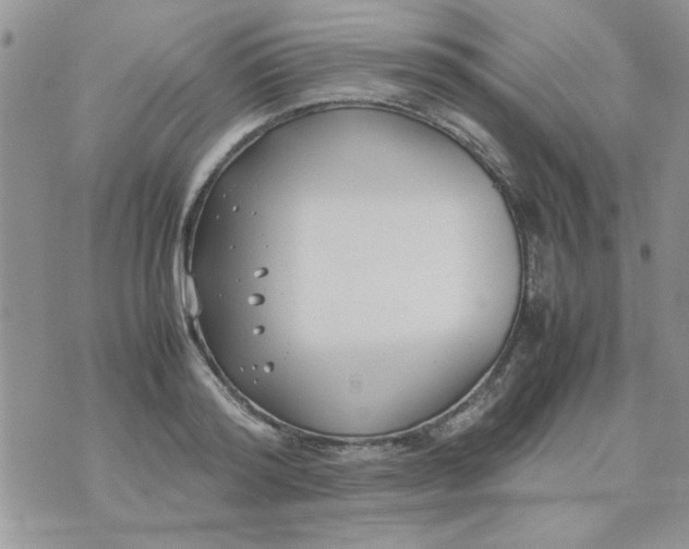 X0000074330796200609152055