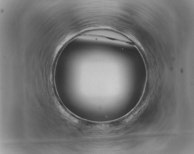 X0000074330797200609152055